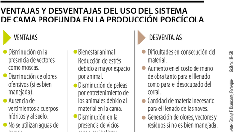 Ventajas y desventajas del uso del sistema de cama profunda en la producción porcícola