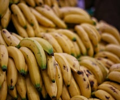 Producción de banano