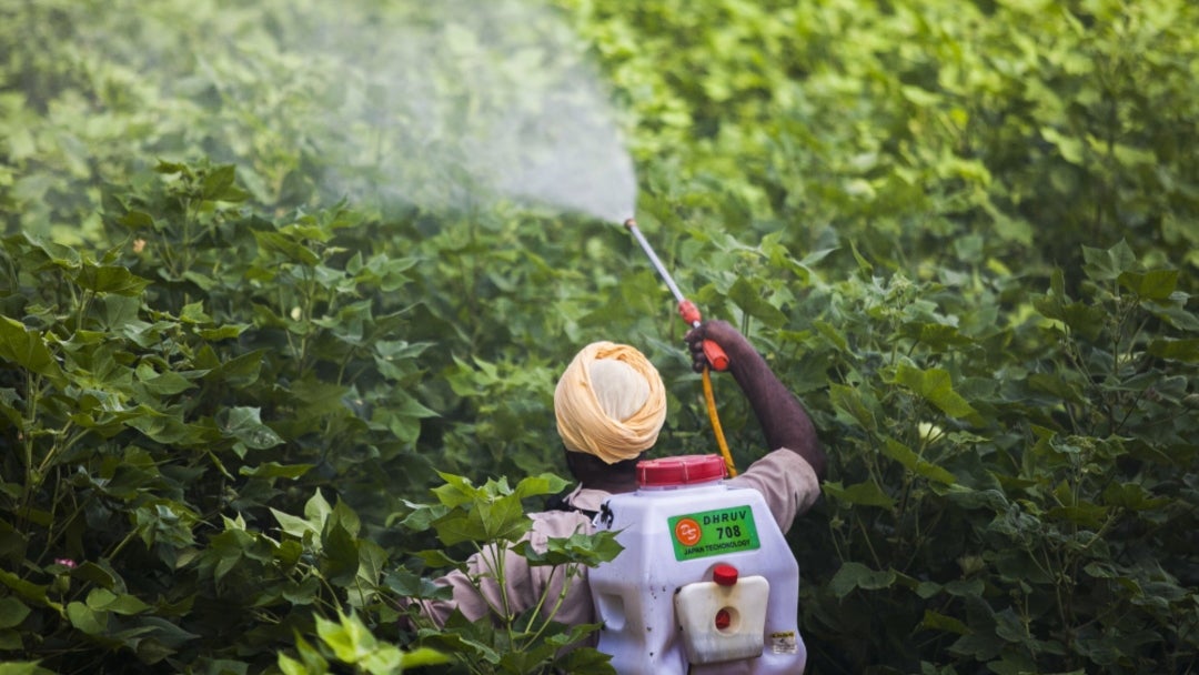 Uso de fertilizantes en cultivos