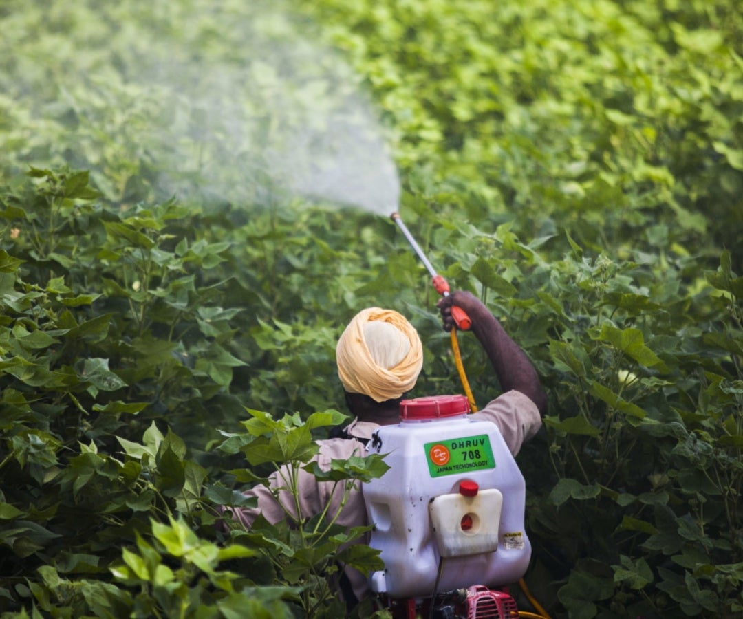 Uso de fertilizantes en cultivos