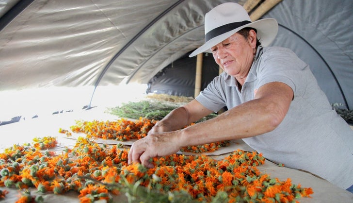 Gobierno y privados invertirán $3.320 millones para comercializadoras  agroindustriales