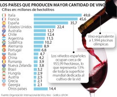 Italia, el país que produjo más litros de vino en 2022