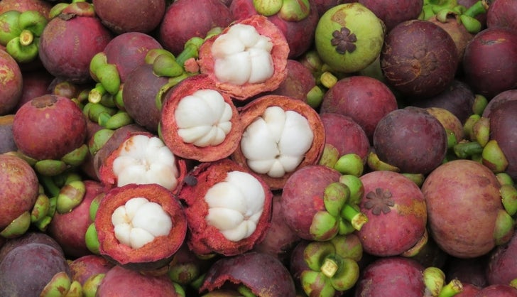 Mangostino