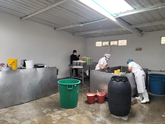 Proyecto para apoyar al sector lácteo del sur del país