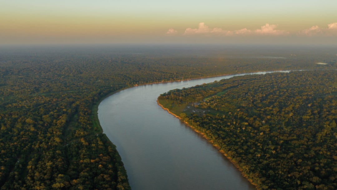 Biodiversidad de Colombia Biodiversidad de Colombia