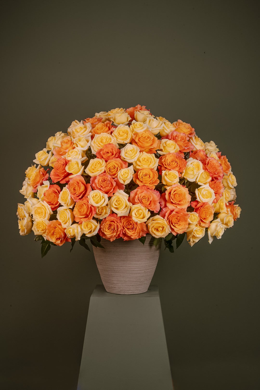 Regalos para Amor y Amistad 