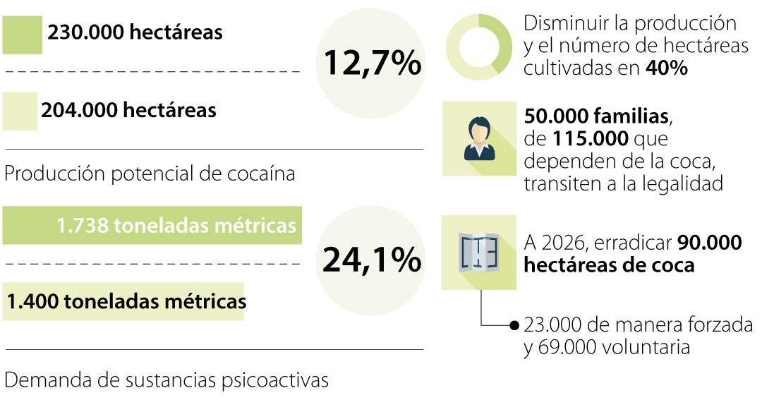 Colombia Volvió A Registrar Cifras Récord En El Cultivo De Coca Según Informó La Onu 6900