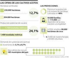 Cifras del cultivo ilícito en Colombia