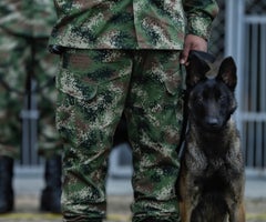 Ejército Nacional Ejército Nacional