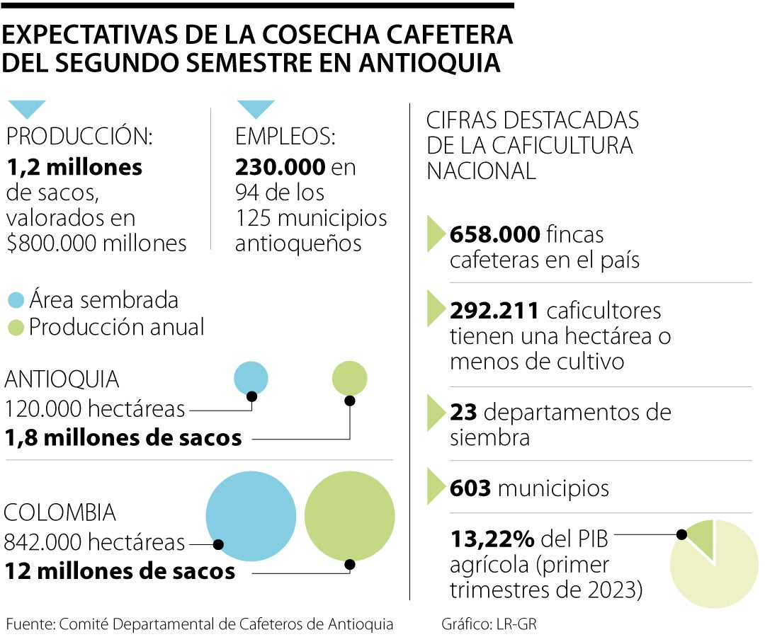 Expectativas de la cosecha cafetera en el segundo semestre