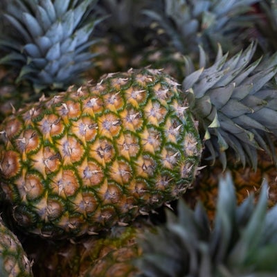 A partir de residuos de la piña se obtienen bioactivos antibacterianos ...