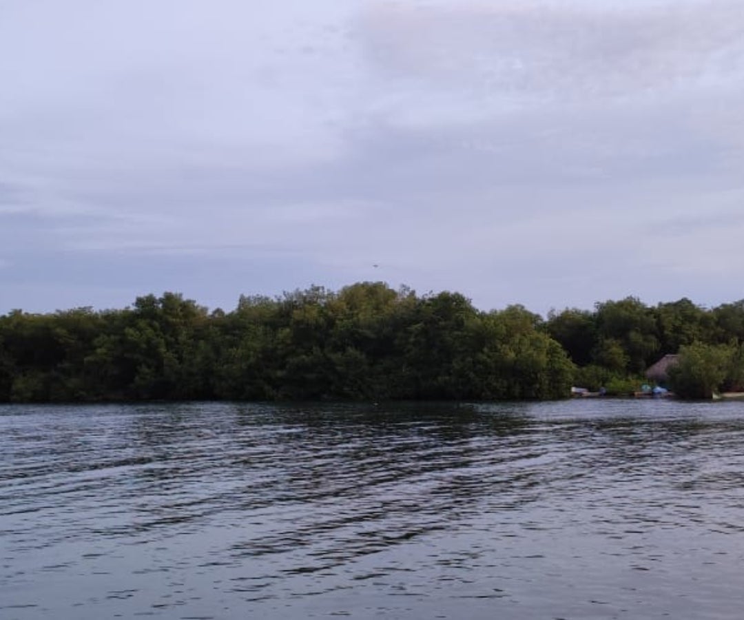 Ciénaga La Caimanera