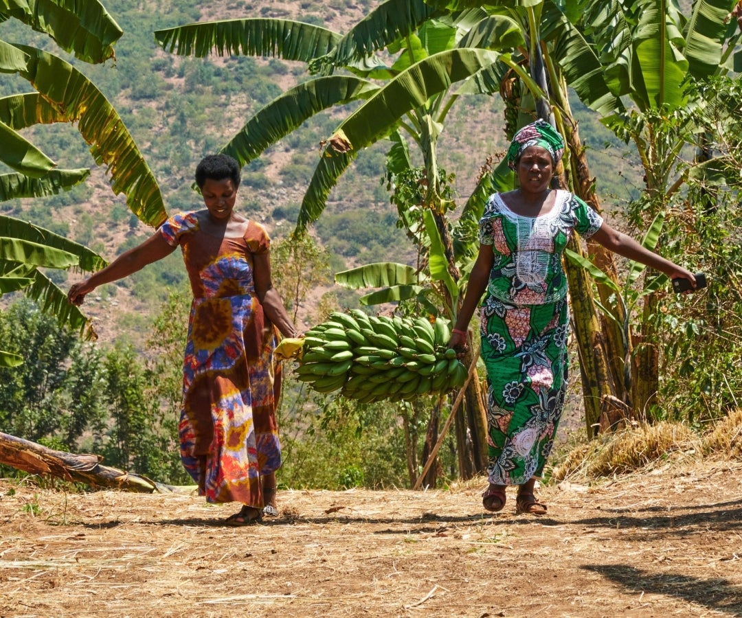 Emprendimientos rurales femeninos