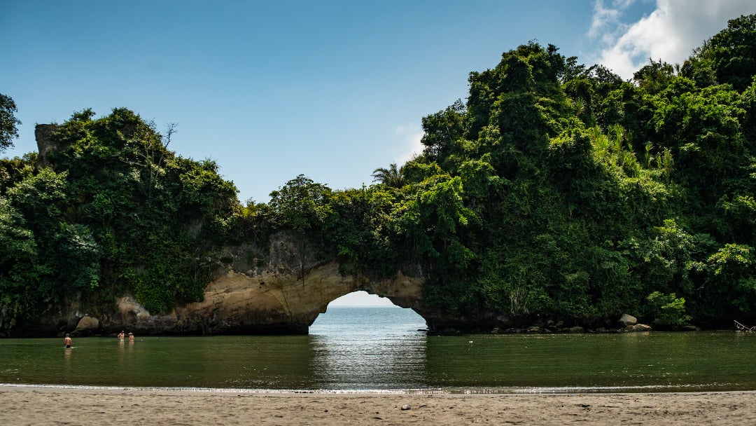 Biodiversidad colombiana