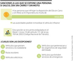 web_Eco_dia_sin_carro