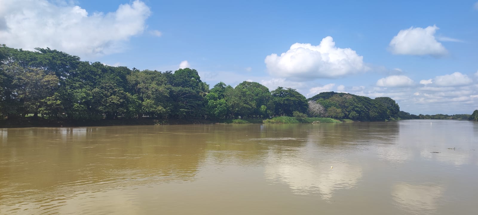 En Lorica podrá participar de avistamiento de aves