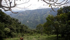 Compra de tierras Compra de tierras