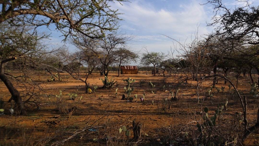 Efectos de las altas temperaturas en La Guajira