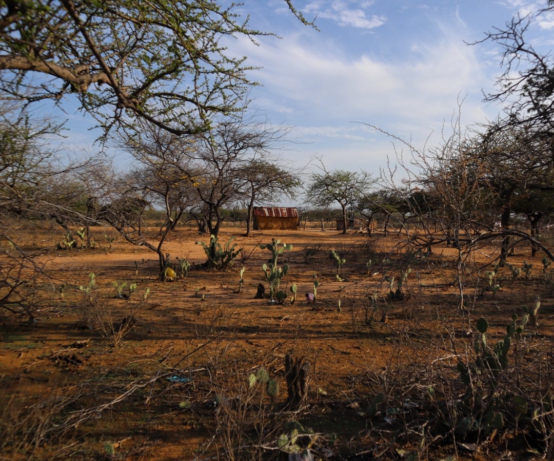La Guajira