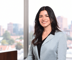 Bancamía, Viviana Araque Mendoza (1) Bancamía, Viviana Araque Mendoza (1)