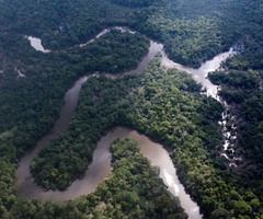 Una vista aérea del río Aguarico