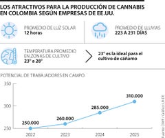 Ventajas para la producción de cannabis según empresas de EE.UU.