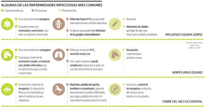 Algunas de las enfermedades infecciosas más comunes