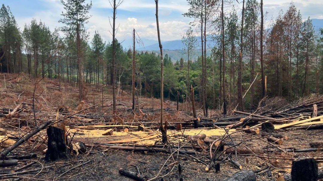 Finca Japio, ubicada en el norte del Cauca