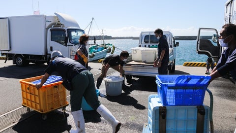 Movilización de productos pesqueros y de acuicultura
