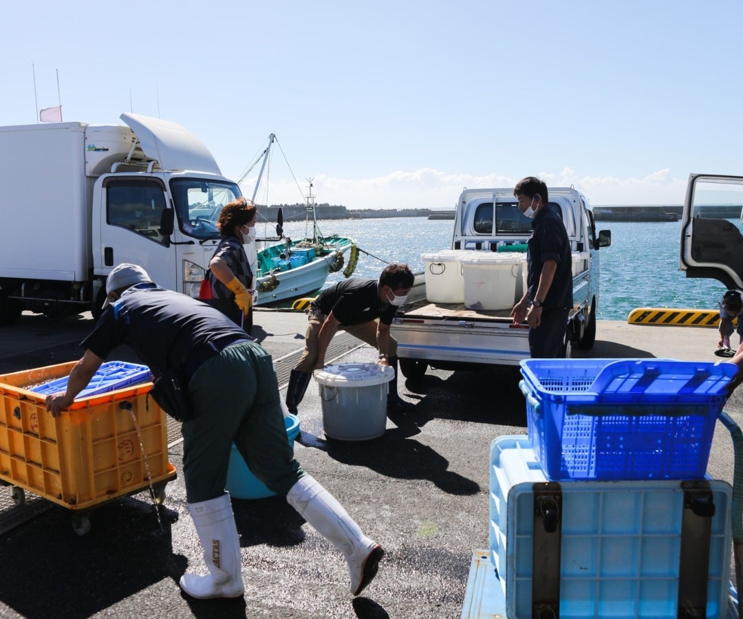 Movilización de productos pesqueros y de acuicultura