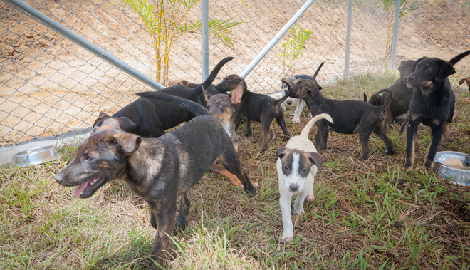 Pelulandia BioParque Ukumarí
