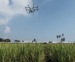 Drones para agricultura Drones para agricultura
