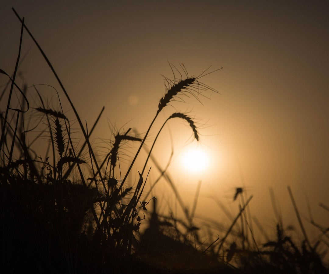 Fenómeno de El Niño