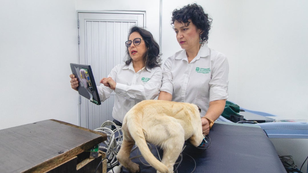 Modelo canino biomecatrónico que imita al animal vivo