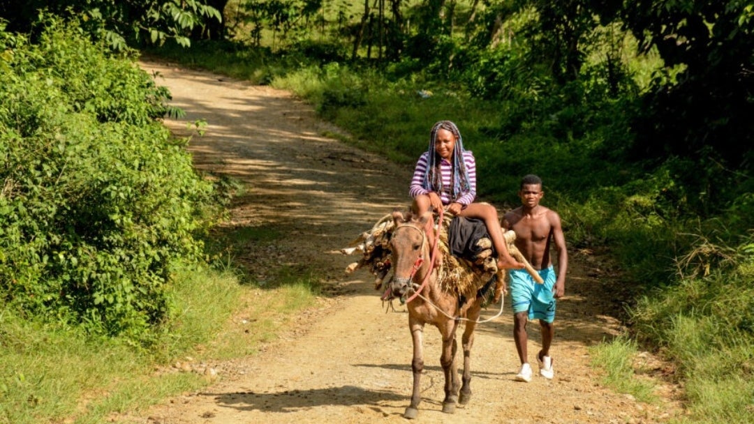 Consejo Comunitario Ma Kankamaná de San Basilio de Palenque