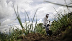 Restitución de Tierras Restitución de Tierras