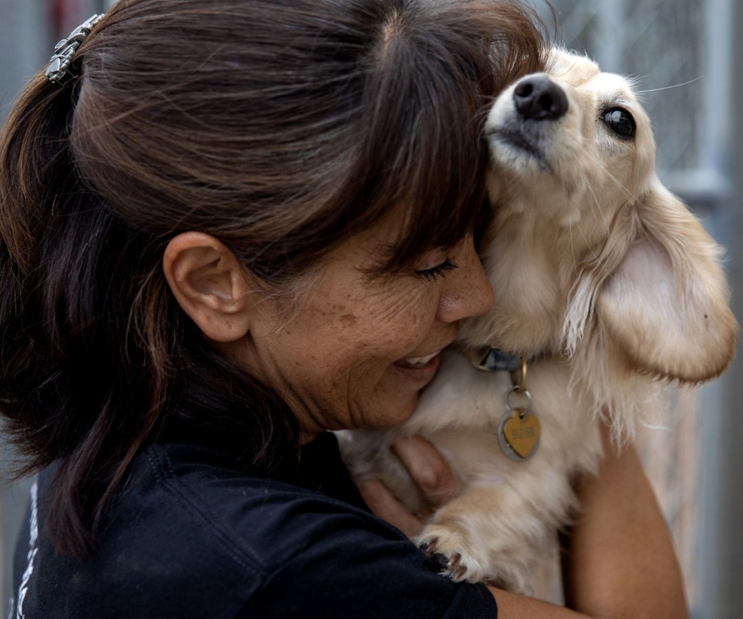 Compras en linea de productos para mascotas