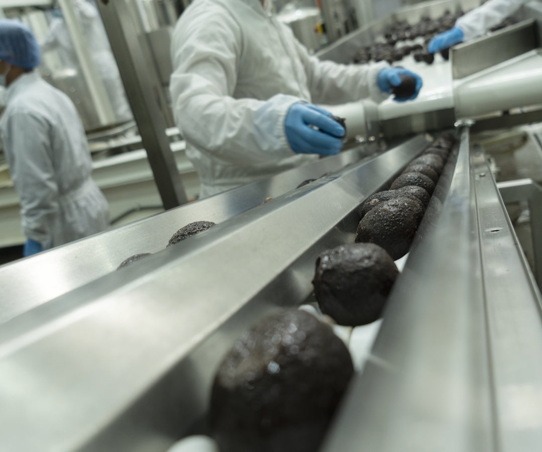 Planta de procesamiento de aguacate hass