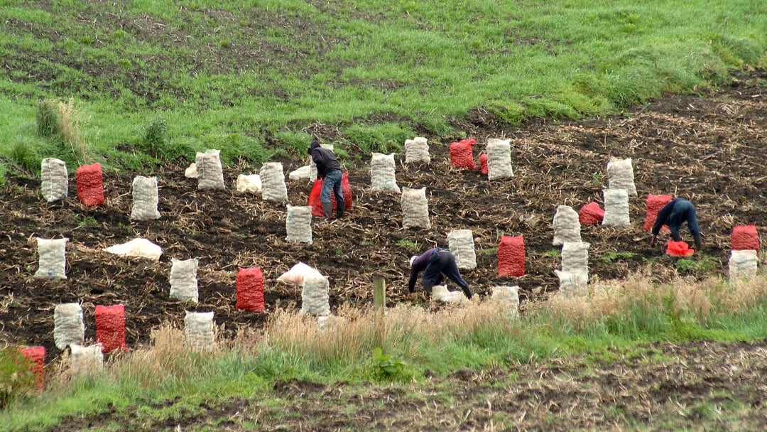 Tierras campesinos