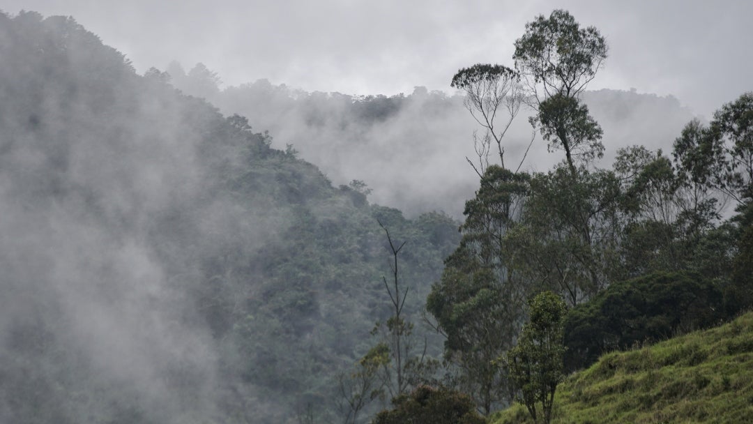 Compra de tierras