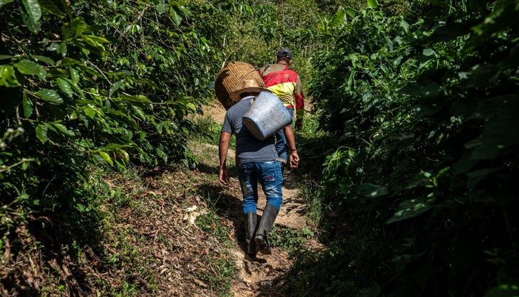 Agricultores