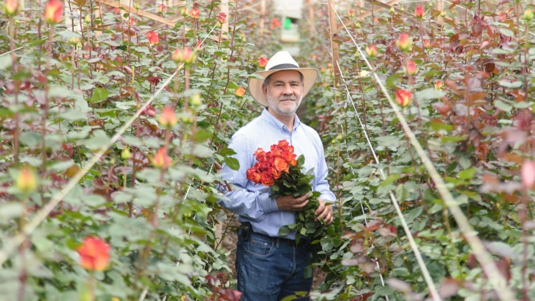 Producción de flores