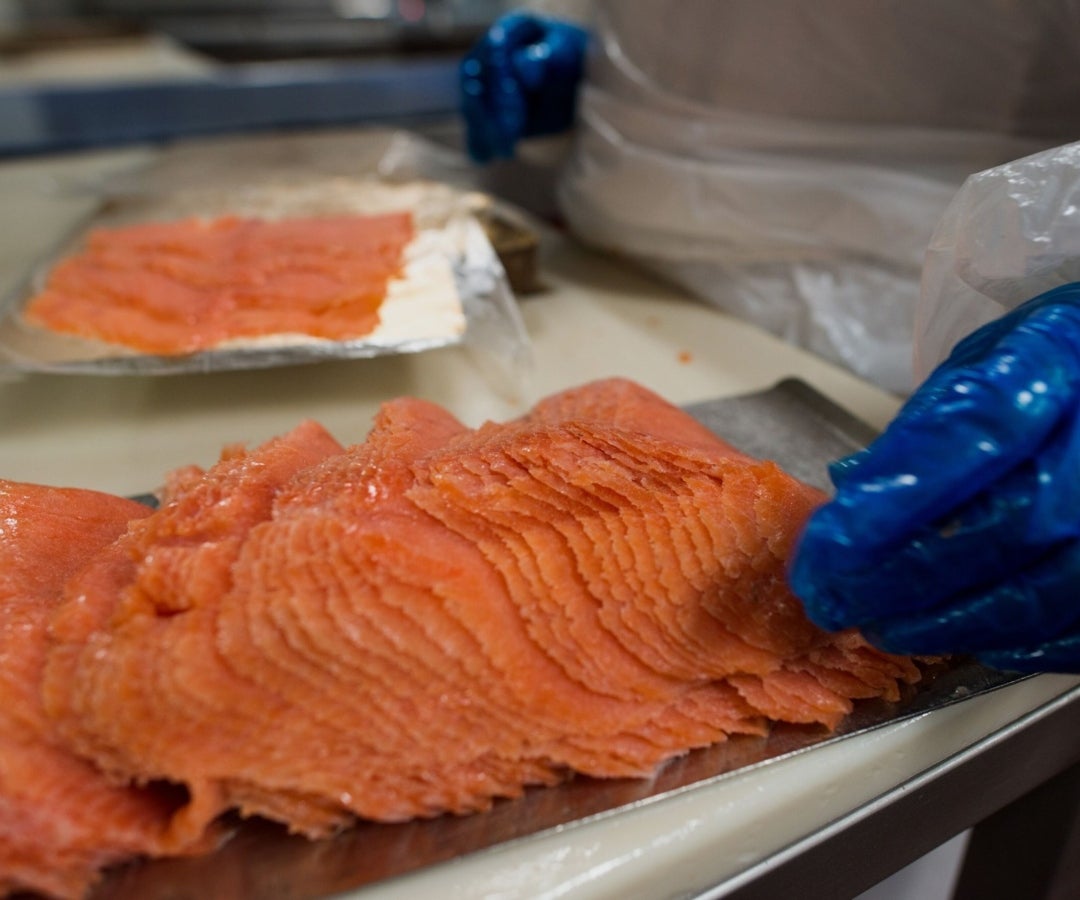 Producción de trucha