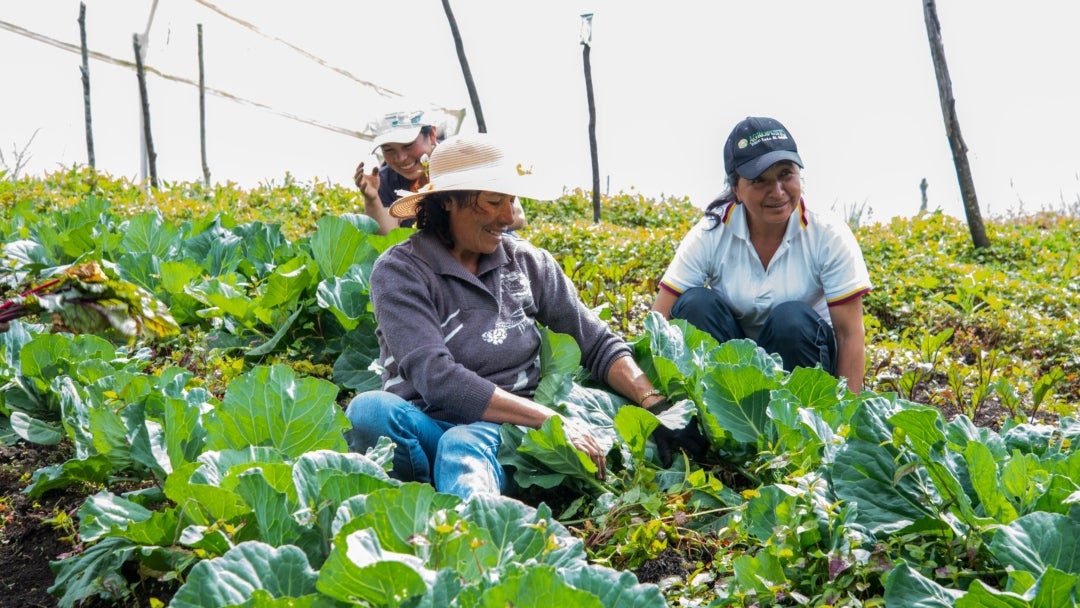 Mujer rural