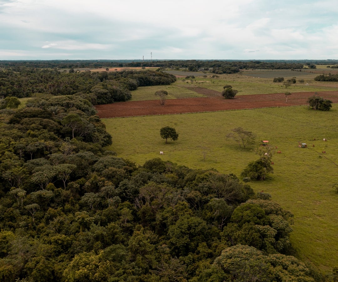 Núcleos de deforestación