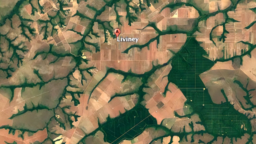 Liviney durante 2022