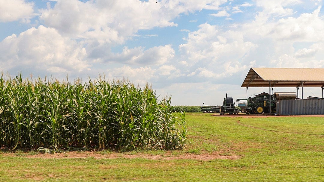 La finca Liviney, una de las haciendas de los menonitas