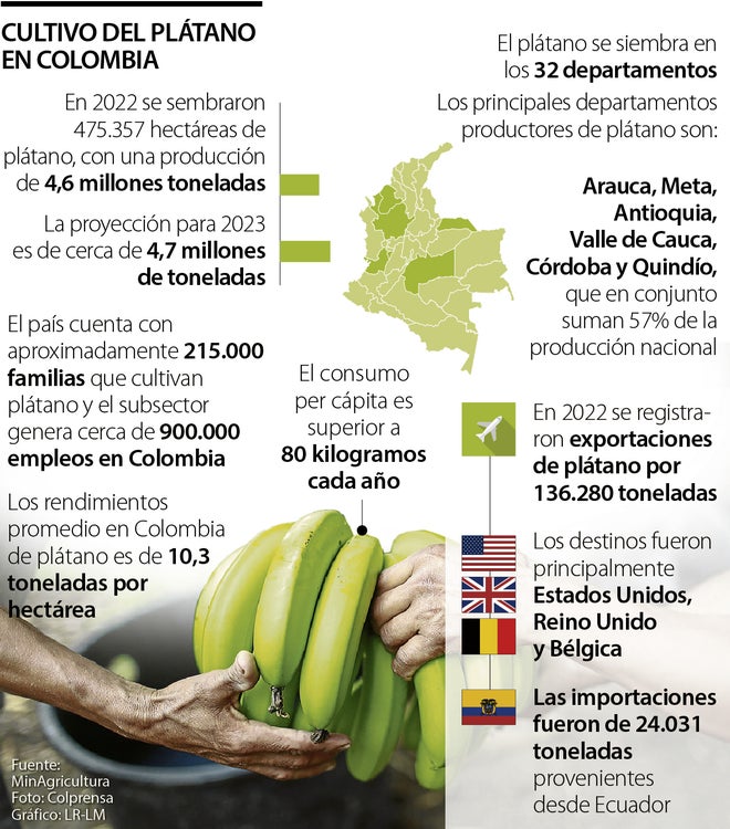 Cultivo del plátano en Colombia