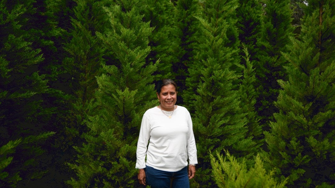 Ana María Estrada Botero, gerente de Pinos Farallones