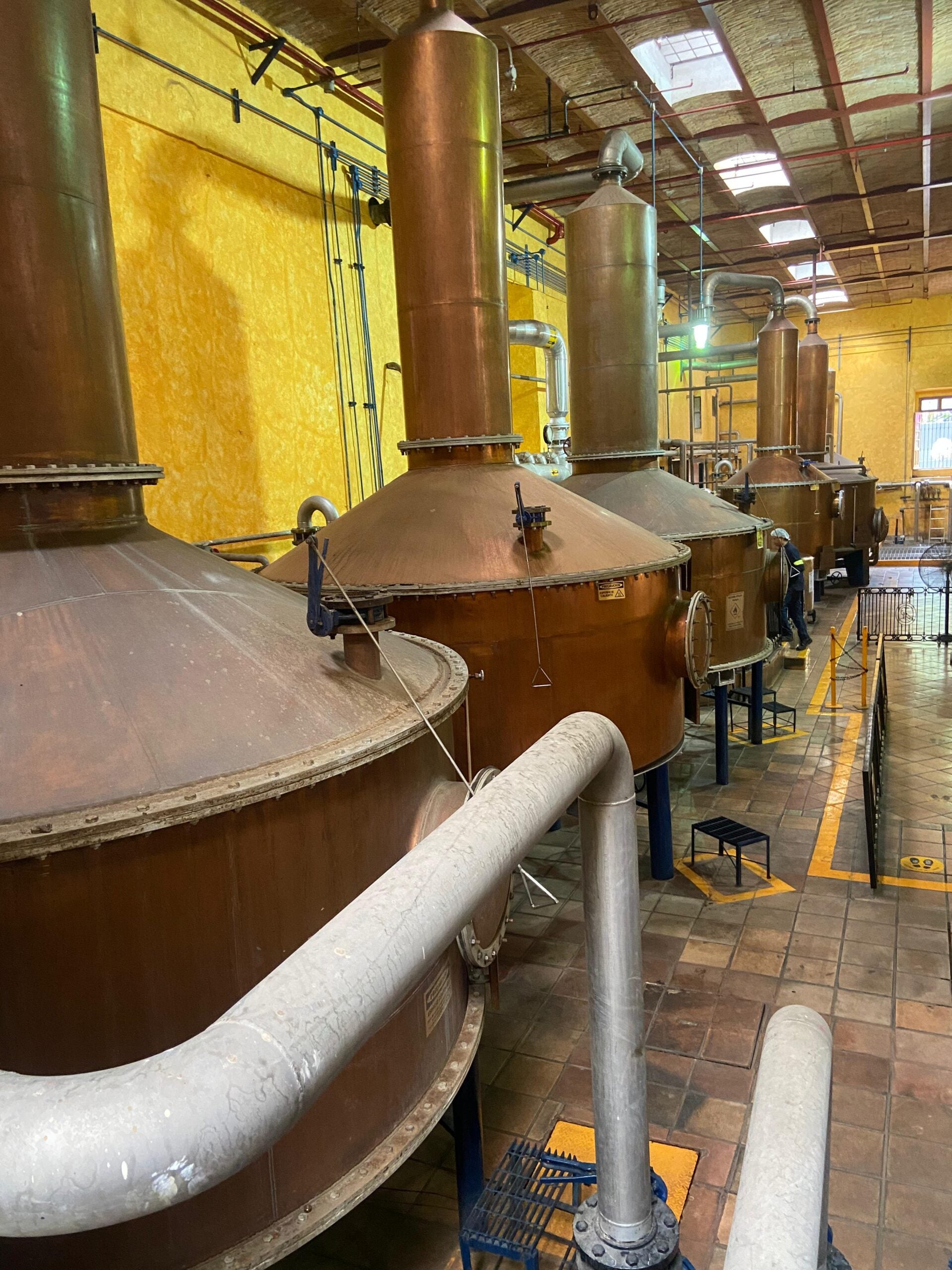 Área de fermentación